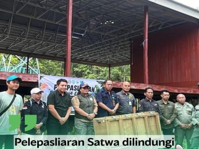 PELEPASLIARAN SATWA DILINDUNGI 14072026 1